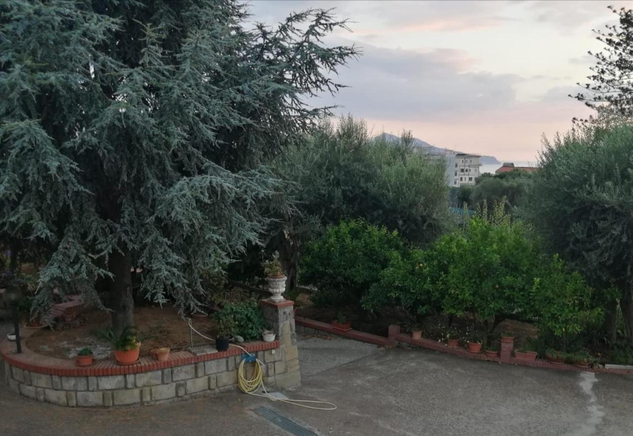Villa Giannina 마사루브렌세 외부 사진